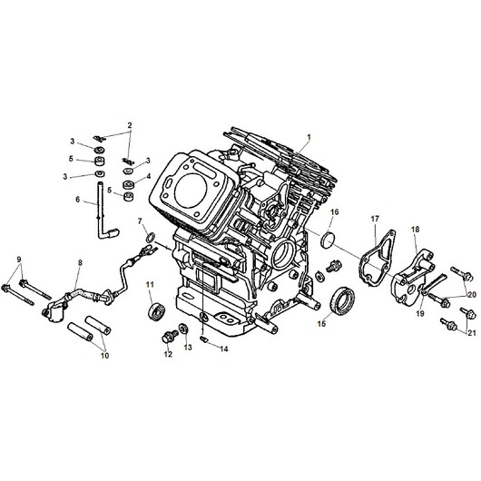 Картер Champion GG11000E